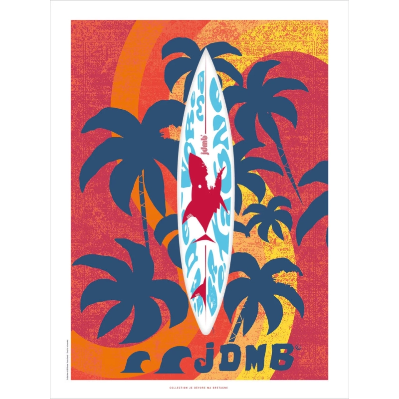 Affiche surf 6