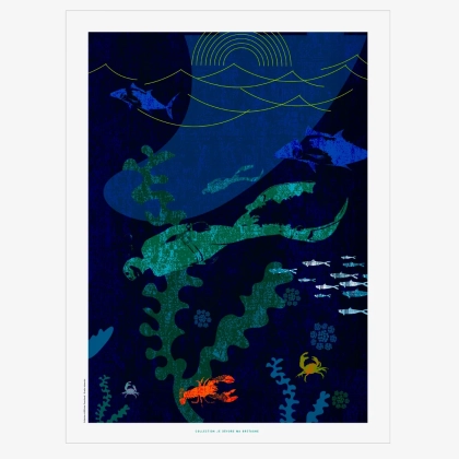 Affiche surf 30