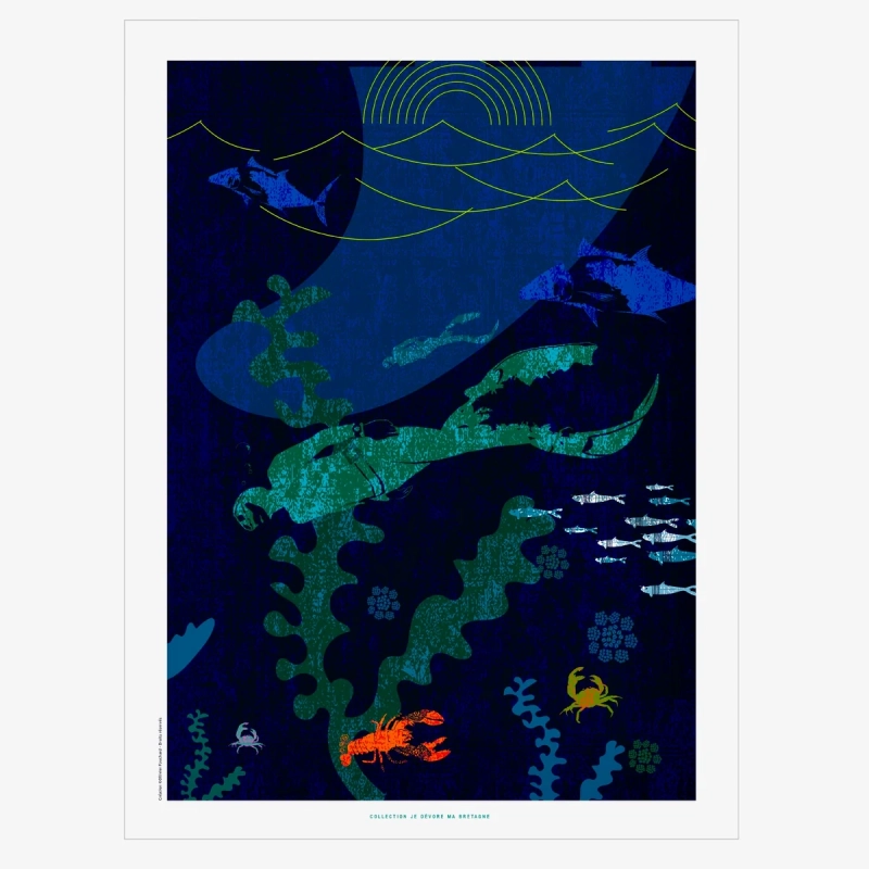 Affiche surf 30