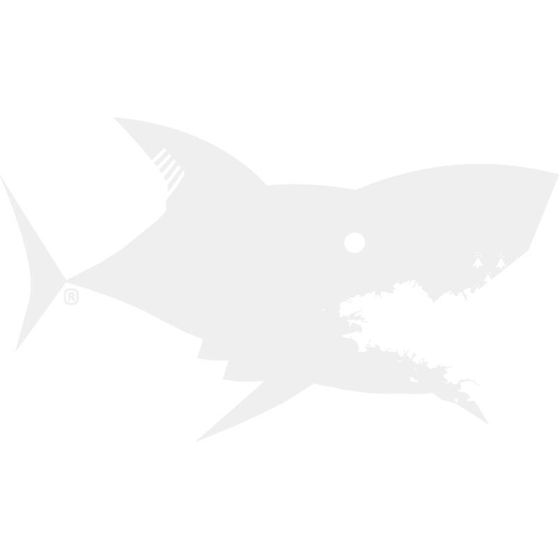 T-shirt Homme Design Requin