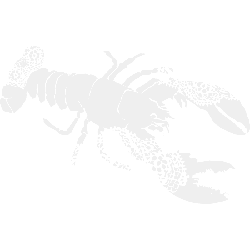 T-shirt homme Homard breton en coton bio
