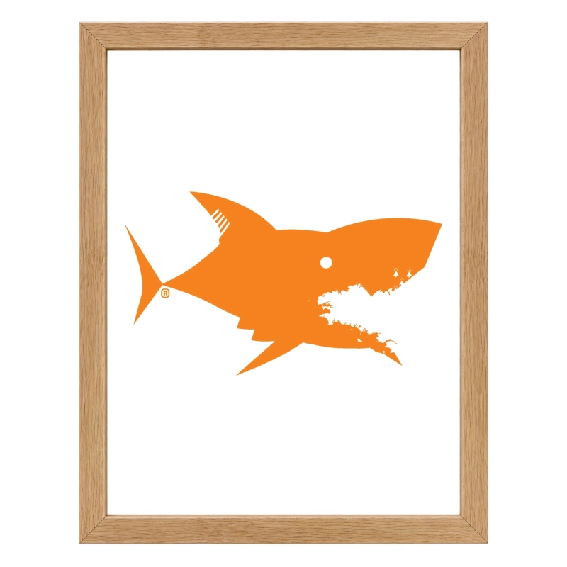 Affiche Requin Bretagne – décoration marine originale